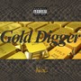 GOLD DIGGER