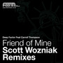 Friend of Mine: The Scott Wozniak Remixes