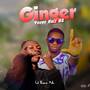 Ginger (Explicit)