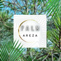 Palm (Explicit)