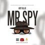 Mr. Spy