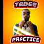 Practice (feat. TrDee) [Explicit]