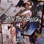 Spin The Block (Explicit)