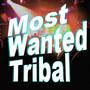 Most Wanted Tribal