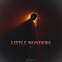 LITTLE WONDERS 2017