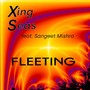 Fleeting (feat. Sangeet Mishra)