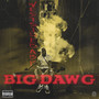 Big Dawg Hood Cycle (Remix) [Explicit]