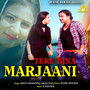 Tere Bina Marjaani