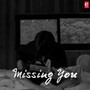 Missing You