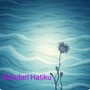 Bidadari Hatiku