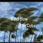 Wind Blow (Explicit)