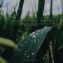 Under The Rain