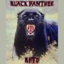 BLACK PANTHER (BFTD) [Explicit]