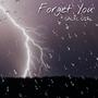 Forget You