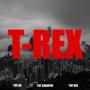 T-REX Hard (feat. NicTi One & ED) [Explicit]