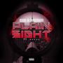 Plain Sight (feat. King Rukus) [Explicit]