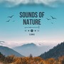 Sounds Of Nature