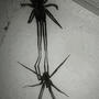 ON DA AVE (feat. spideybray) [Explicit]