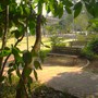 bucolic