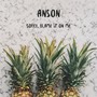 Sorry, Blame It On Me (ANSON Tropical Remix)