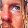 Songs From The Dust