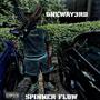 Spinner Flow (Explicit)