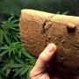 300G EN MI HUEVO