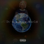 It's a Nyce World (Explicit)