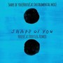 Shape of you(HouseCat Instrumental Mix)