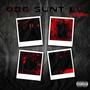 036 SUNT EU (Explicit)