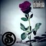 Roses (Explicit)