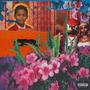 YOUNGBLACKANDJUSTDONTGIVEAF! (Explicit)