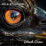Black Crow