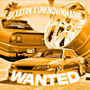 WANTED (Explicit)
