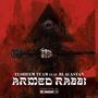 Armed Rabbi (feat. Blacastan & RoadsArt) [Explicit]