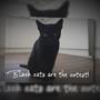 Black cats are the cutest!