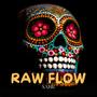 Raw Flow (Explicit)