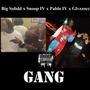 Gang (feat. Snoop IV, Pablo IV & Glvzzocc) [Explicit]