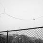 Dont Let Go (Explicit)