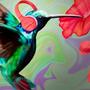 Hummingbird (Explicit)