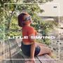 LITLE SWING