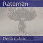 Destruction (Radio Edit)