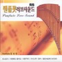 김정민 (팬플륫 러브사운드)