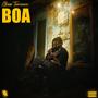 BOA (Explicit)