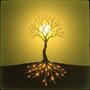 Rooted In The Light (2025)