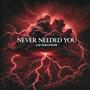 NEVER NEEDED YOU (Explicit)