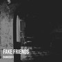 Fake Friends (Explicit)