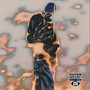 VELUTINI (Explicit)