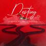 Destiny (feat. Tracy D)