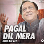 Pagal Dil Mera